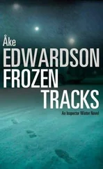 Åke Edwardson - Frozen Tracks