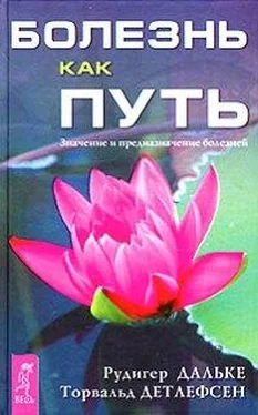 Рудигер Дальке Болезнь как путь. Значение и предназначение болезней обложка книги