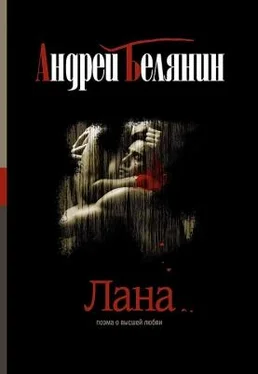 Андрей Белянин Андрей обложка книги