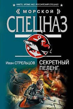 Иван Стрельцов Секретный пеленг обложка книги