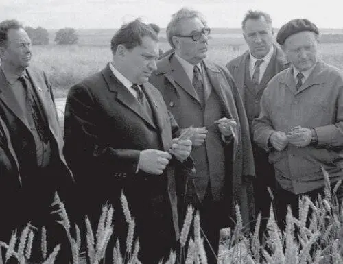 На полях опытного хозяйства по выращиванию зерновых культур 1971 г - фото 32