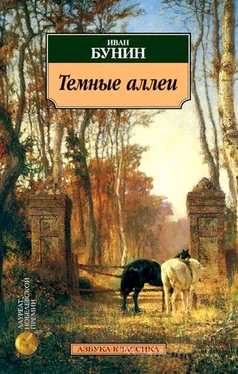 Иван Бунин Пароход «Саратов» обложка книги