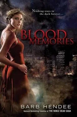 Barb Hendee Blood Memories обложка книги