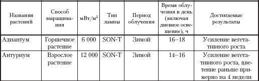 Энциклопедия комнатных растений - фото 37