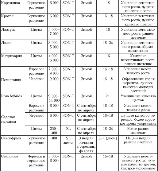 КОМПОЗИЦИИ ИЗ РАСТЕНИЙ ОФОРМЛЕНИЕ ОКОН С точки зрения освещения окна - фото 40