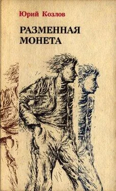 Юрий Козлов Разменная монета обложка книги