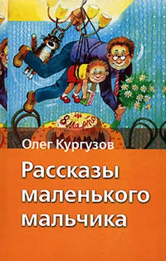 Олег Кургузов Шкаф обложка книги