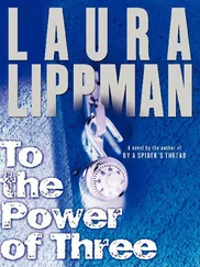 Laura Lippman - To The Power Of Three