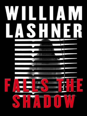 William Lashner Falls The Shadow обложка книги