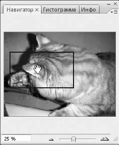 Рис 25Навигация по рисунку с помощью палитры Навигатор Теперь посмотрите на - фото 21