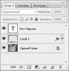 Рис 53Палитра Слои После этого большинство преобразований которые вы будете - фото 54