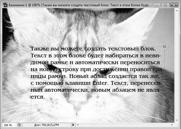 Рис 61Текстовый блок в рисунке Чтобы создать текстовый блок нужно выбрать - фото 70