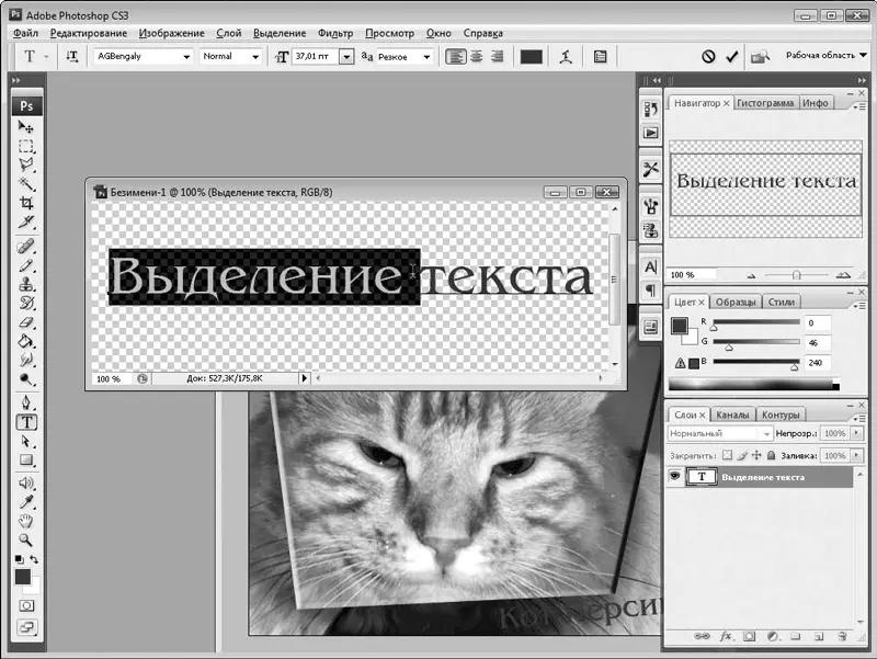 Рис 62Выделение отдельного слова Если форматирование применяется не к - фото 71