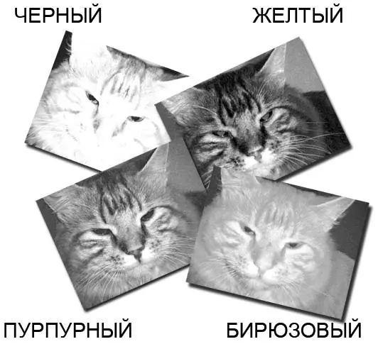 Рис 72Так выглядит изображение в отдельных каналах CMYK Мы не случайно - фото 81