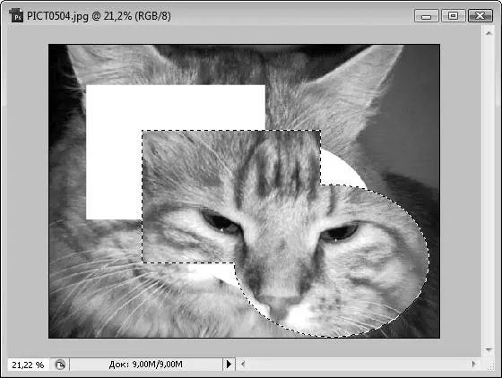 Рис 88Выделенная область перемещена Есть еще один удобный способ выделения - фото 91