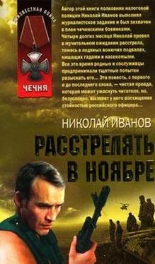 Николай Иванов Расстрелять в ноябре обложка книги