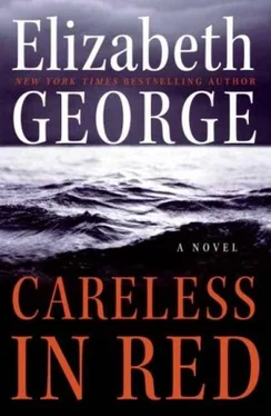 Elizabeth George Careless in Red обложка книги