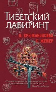 Крыжановский Жемер Тибетский лабиринт обложка книги