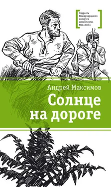 Андрей Максимов Солнце на дороге обложка книги