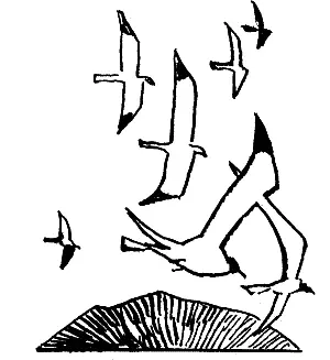 1 Ворон Вук восседал на столе поклевывая кусочки мяса рассыпанные перед ним - фото 11