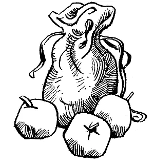 1 К развилкекуриножке вышли довольно быстро Здесь действительно стояла - фото 21