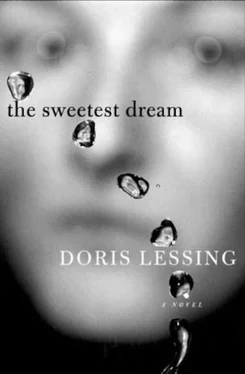 Doris Lessing The Sweetest Dream обложка книги