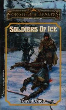 David Cook Soldiers of Ice обложка книги