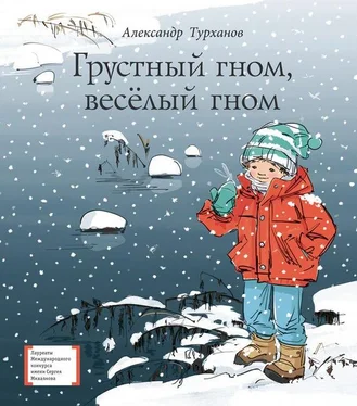 Александр Турханов Грустный гном, весёлый гном обложка книги