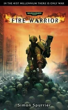 Саймон Спуриэр Fire Warrior обложка книги