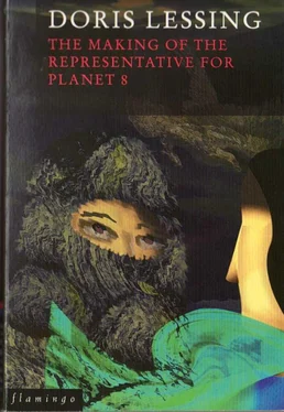 Doris Lessing The making of representative for Planet 8