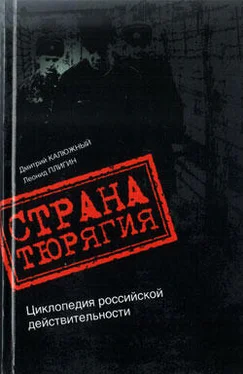 Дмитрий Калюжный Страна Тюрягия обложка книги