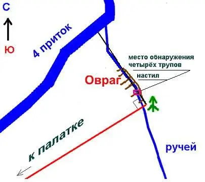 На фото с места поисков 1959 года овраг и настил выглядели так 1 - фото 6