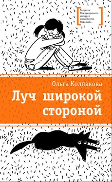 Ольга Колпакова Луч широкой стороной обложка книги