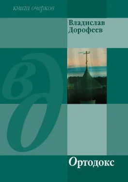 Владислав Дорофеев Ортодокс (сборник) обложка книги