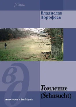 Владислав Дорофеев Томление (Sehnsucht) или смерть в Висбадене обложка книги