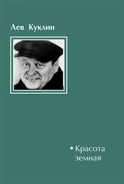 Лев Куклин Красота земная обложка книги