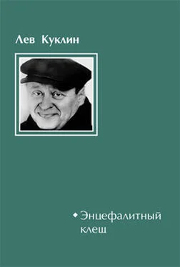 Лев Куклин Энцефалитный клещ обложка книги