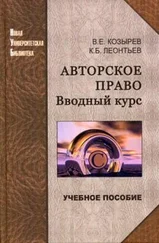 Владимир Козырев - Авторское право. Вводный курс