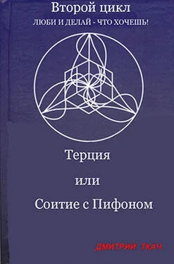 Дмитрий Ткач Терция или Соитие с Пифоном обложка книги