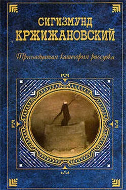 Сигизмунд Кржижановский Тринадцатая категория рассудка (рассказ) обложка книги