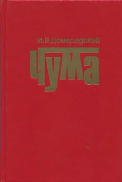 Игорь Домарадский Чума обложка книги