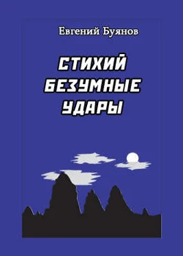 Евгений Буянов Стихий безумные удары обложка книги