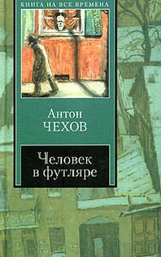 Антон Чехов Переполох обложка книги