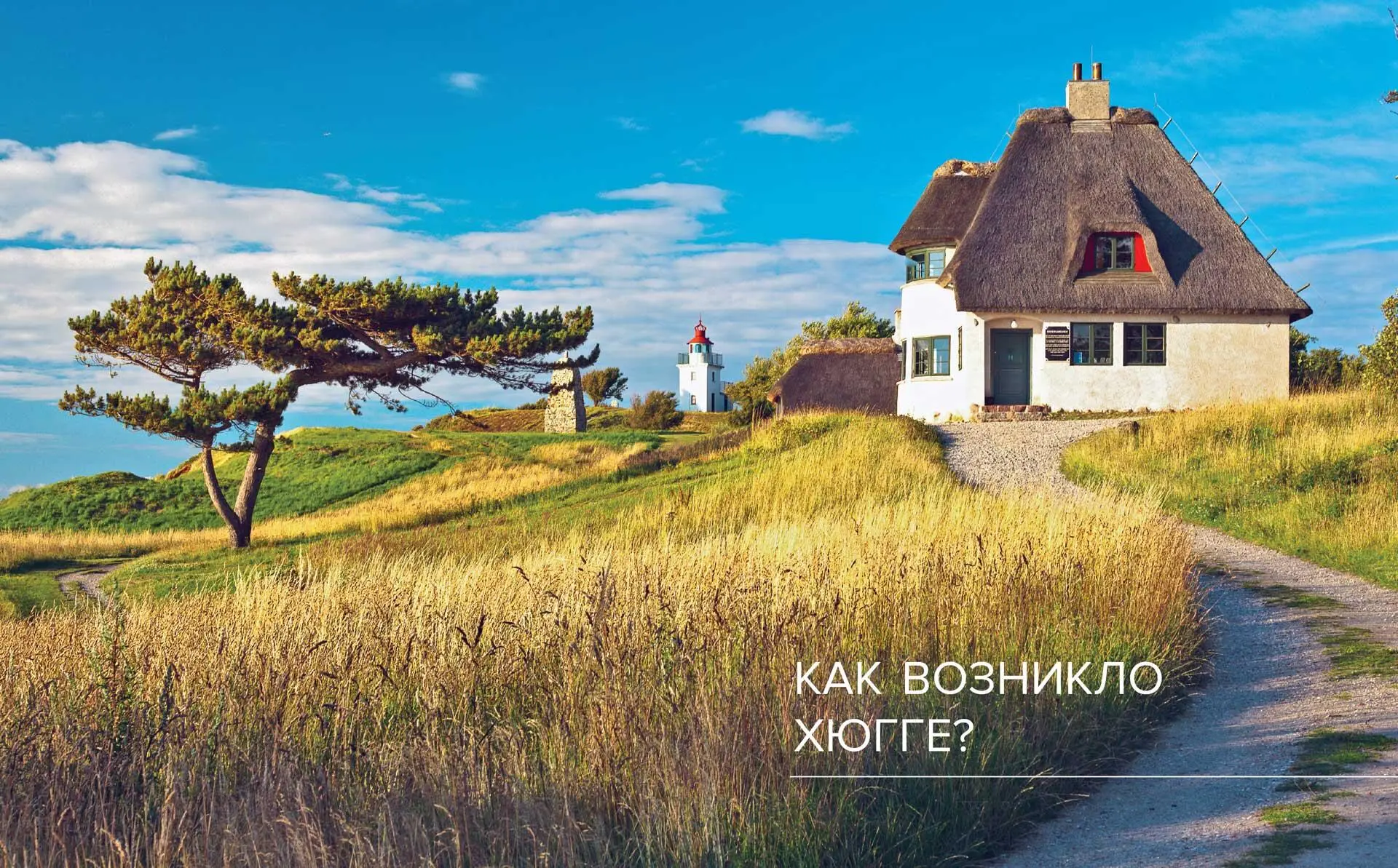 КРАТКИЙ ЭКСКУРС В КУЛЬТУРУ И ИСТОРИЮ ХЮГГЕ У каждой нации свои основные - фото 7