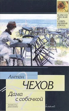 Антон Чехов Дом с мезонином обложка книги