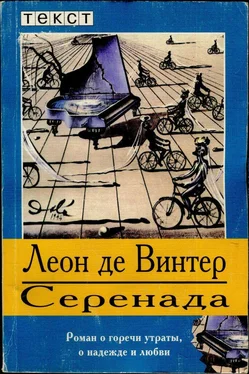 Леон Винтер Серенада обложка книги