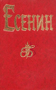 Сергей Есенин Ленин обложка книги