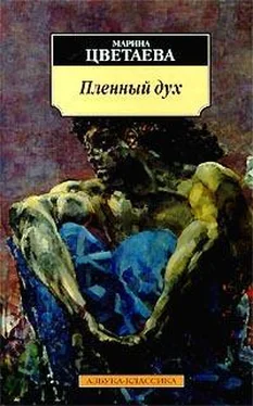 Марина Цветаева Нездешний вечер обложка книги