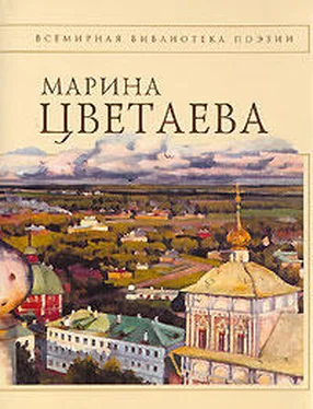 Марина Цветаева Полное собрание стихотворений обложка книги