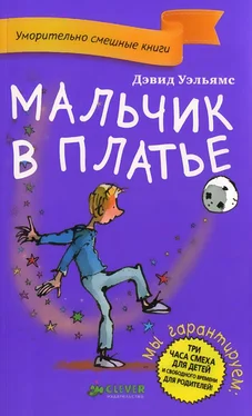 Дэвид Уэльямс Мальчик в платье обложка книги